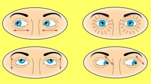 ورزش های چشم : تمریناتی برای بهبود سلامتی چشم
